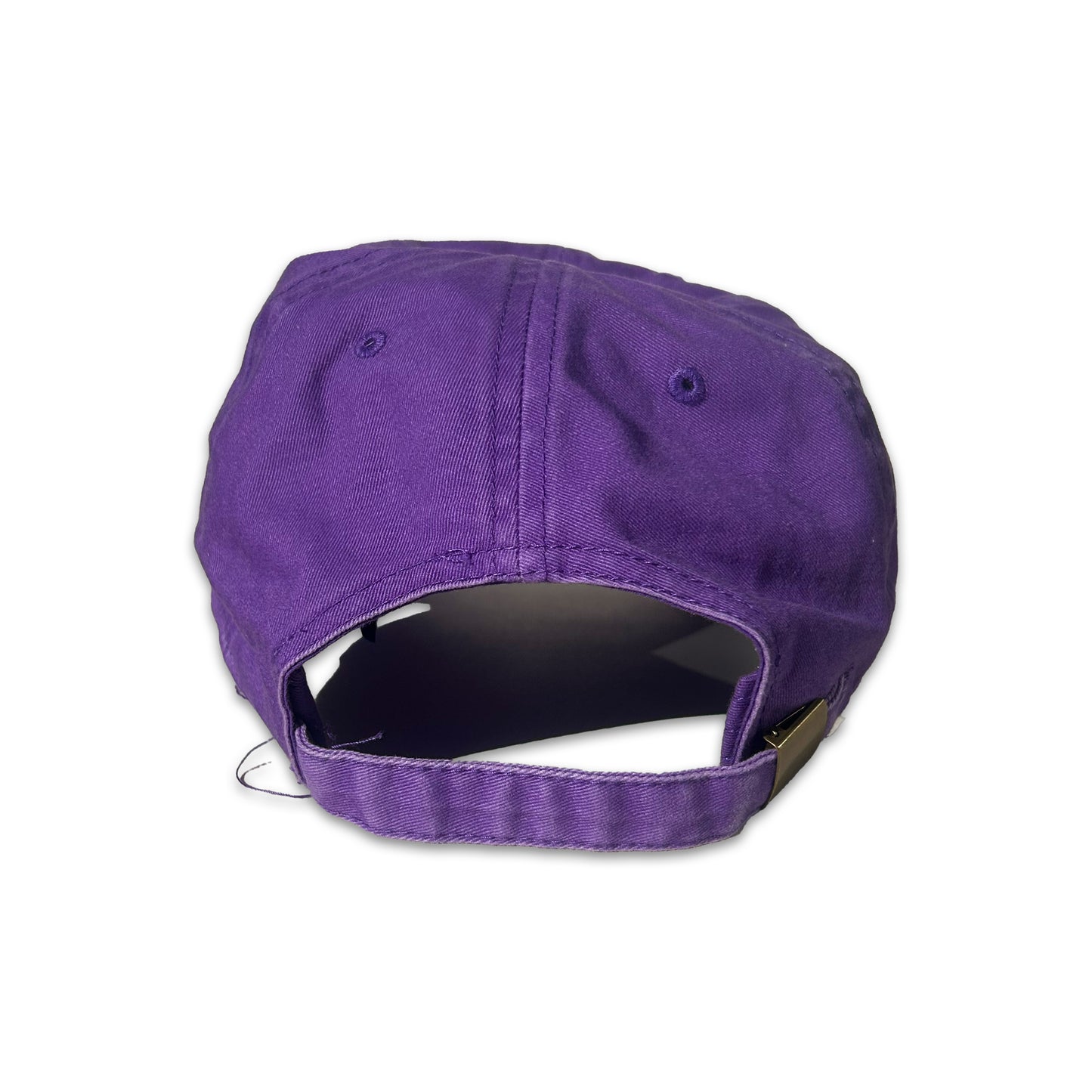 SPRING PURPLE DRAGON McCHAMP HAT